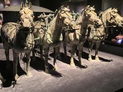 -陕西历史博物馆