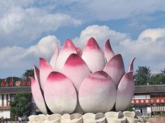-乐山市博物馆