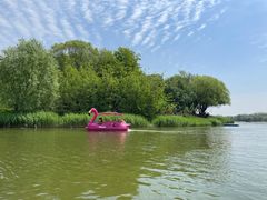 -大兴滨河森林公园