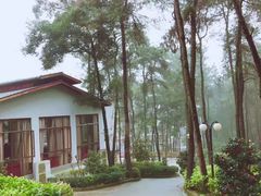 -铁山坪森林公园