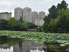 -范蠡湖公园