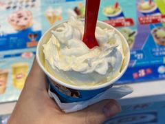 双倍芝士暴风雪-DQ·蛋糕·冰淇淋(太原街万达店)
