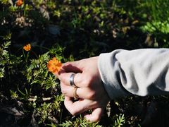 -花开海上生态园