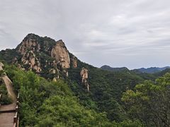 -大岭沟猕猴桃谷风景区