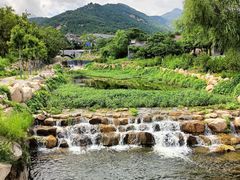 -泰山风景名胜区-虎山公园