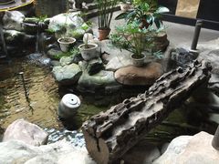 顺景温泉-顺景温泉