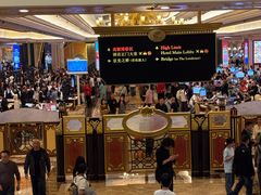 -澳门威尼斯人综合度假区