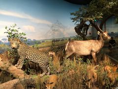 -陕西自然博物馆