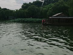 -西湖游船