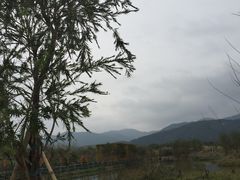 -天适樱花悠乐园