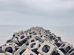 -东疆建设开发纪念公园