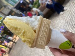 -柠檬车露(卖草地店)