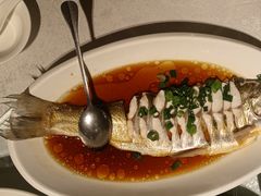 -金美华轩(东方路齐鲁店)