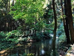 -雁荡山风景名胜区-小龙湫