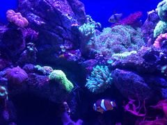 -成都浩海立方海洋公园