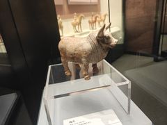 -隋唐大运河文化博物馆