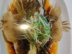 -望乡楼上海菜(日月光店)