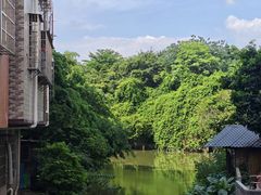 -小洲村