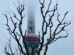 -东方明珠广播电视塔