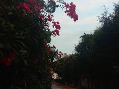 -铁路文化公园
