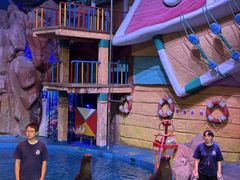 -烟台海昌鲸鲨海洋公园