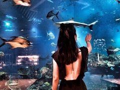 -海棠湾洲际-涛·海底餐厅·美人鱼·自助餐·海底隧道