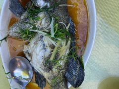 -沙田台山海鲜·酣客酒窖