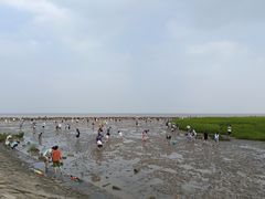 -南汇嘴观海公园