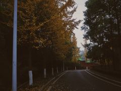 -重庆工商大学(南岸校区)