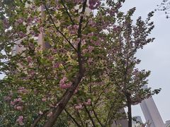 -西北轻工批发市场