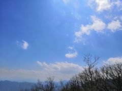 -牛背梁国家森林公园