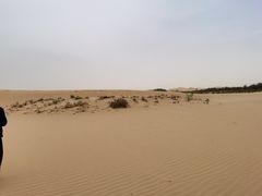 -亿利库布其七星湖沙漠生态旅游区