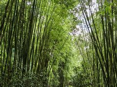 -水底山庄园温泉