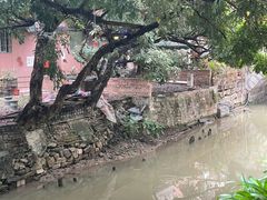 -小洲村