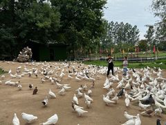 -南通洲际绿博园