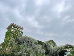 -成都当代影像馆