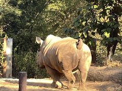 -清迈夜间动物园