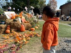 -HERRE·FARM 赫尔露营农场·团建聚会包场