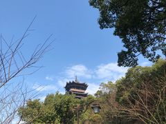 -杭州半山国家森林公园