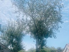 -稻香村(银锭桥店)