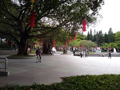 -广州雕塑公园