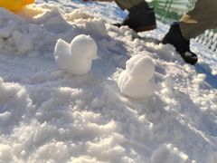-绿野森林乐园冰雪季