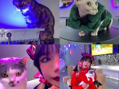 -极木²邸 人与宠物·互动社区