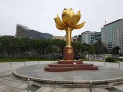 -金莲花广场
