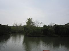 -溱湖国家湿地公园