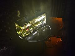 -C&R西班牙餐厅