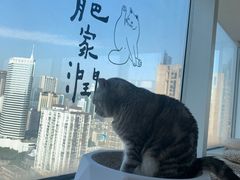 -Catmate·猫肥家润(金润铂宫店)