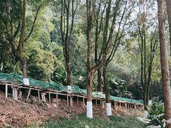 -重庆彩云湖湿地公园