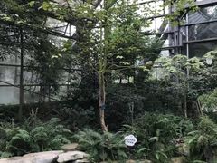 -南山植物园