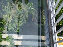 -牛鱼嘴原始生态风景区